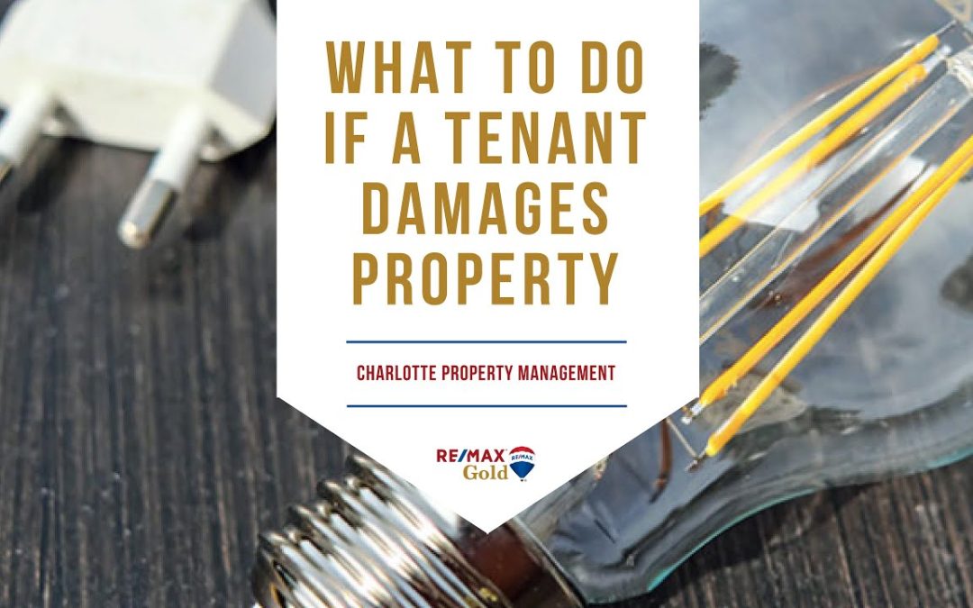 What to Do if a Tenant Damages Property in Charlotte, NC